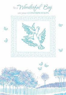 *Boy 8x5 - Framed Doves